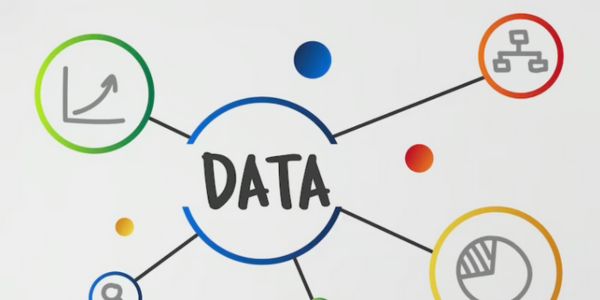Unleashing the Dynamic Potential of Data