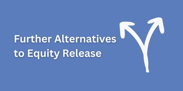 Further Alternatives to Equity Release